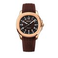 Aquanaut Brown Seiko Mod Watch