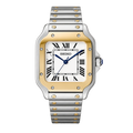 Santos Two-Tone Seiko Mod Watch